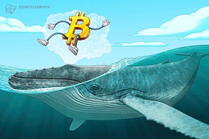 Bitcoiners Debate Over Whether OG's Faith Is 'Shaken'