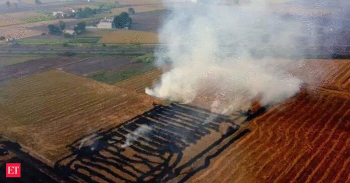 Stubble burning in Punjab? Not this year, govt unveils aggressive new strategy to stop it cold