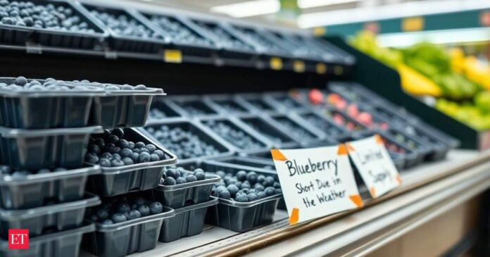 Blueberry shortage hits Coles and Woolworths after heavy rain damages crops
