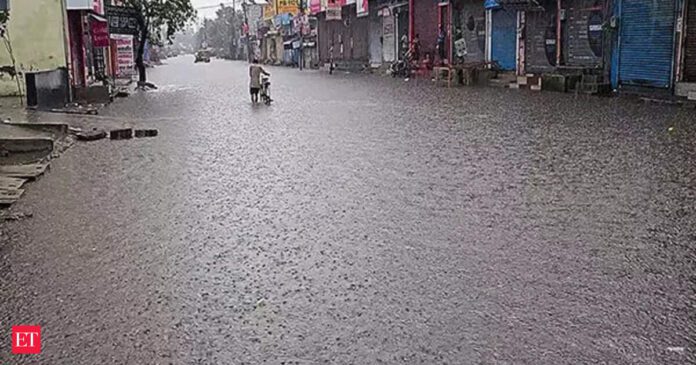 Punjab weather: IMD issues red alert for heavy rainfall in several districts