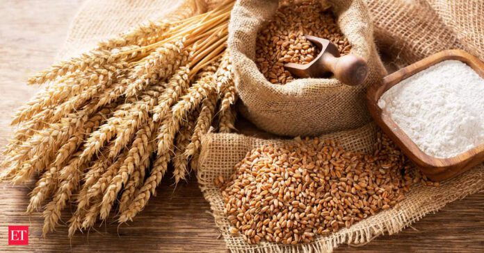 Livestock feed body visits US for 'feasibility' study of seeds