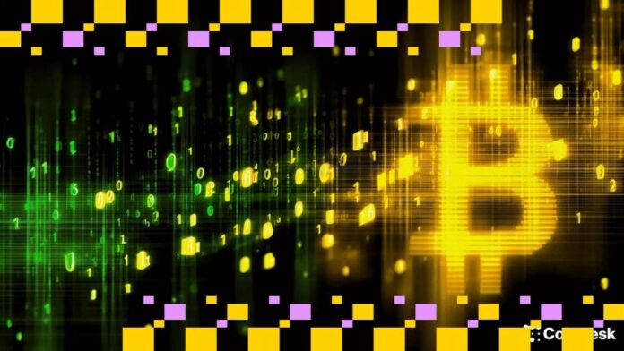 BTC Holds Steady as Market Resets After Leverage Flush