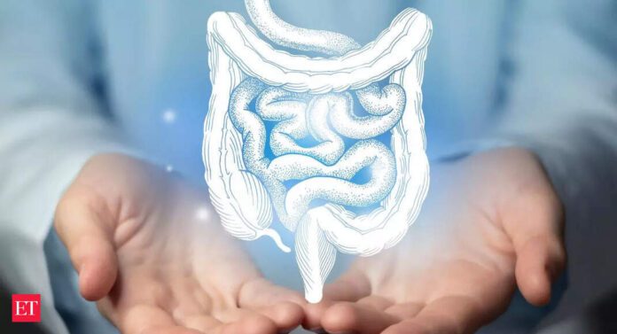 Gut health: 6 fiber-rich foods best for better digestion - Why fiber matters