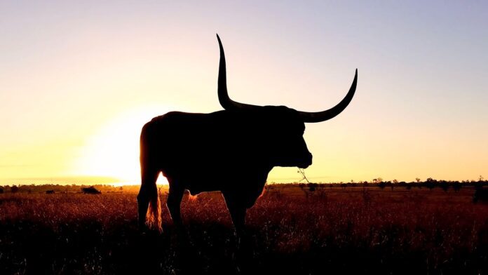 a_3cfd87.jpg XRP Sparks Bullish Frenzy As Top Dev Says It Beats ETF Hype